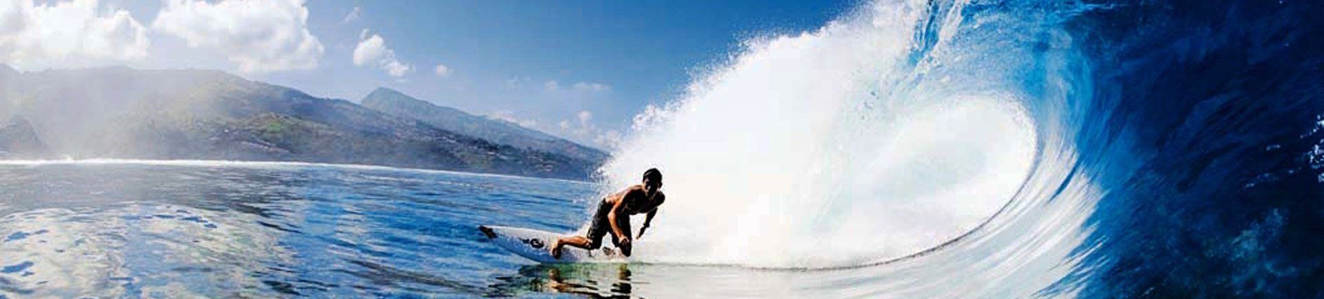 RTX Ski Skate & Surf